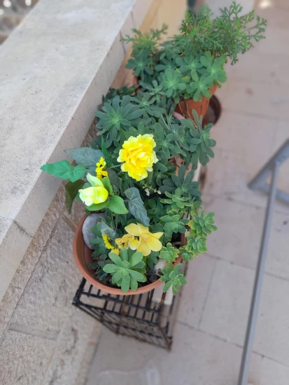 Apartmán Ostrov Brač - Postira OS 9297 N1