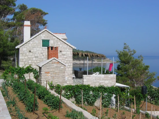 Domek Ostrov Brač - Postira OS 9298 N1