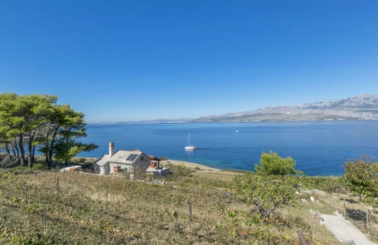 Domek Ostrov Brač - Postira OS 9298 N1