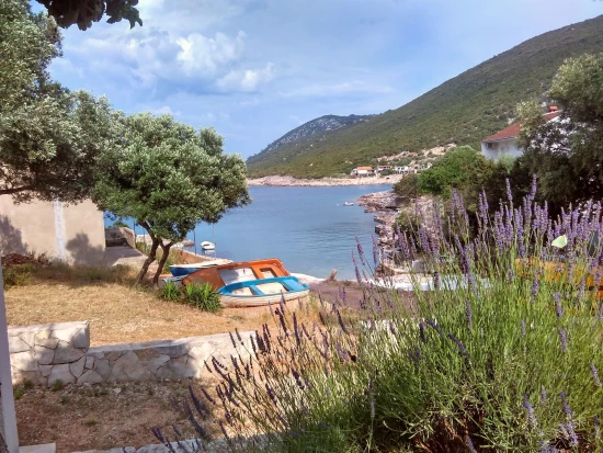 Apartmán Ostrov Hvar - Gdinj OS 9307 N2