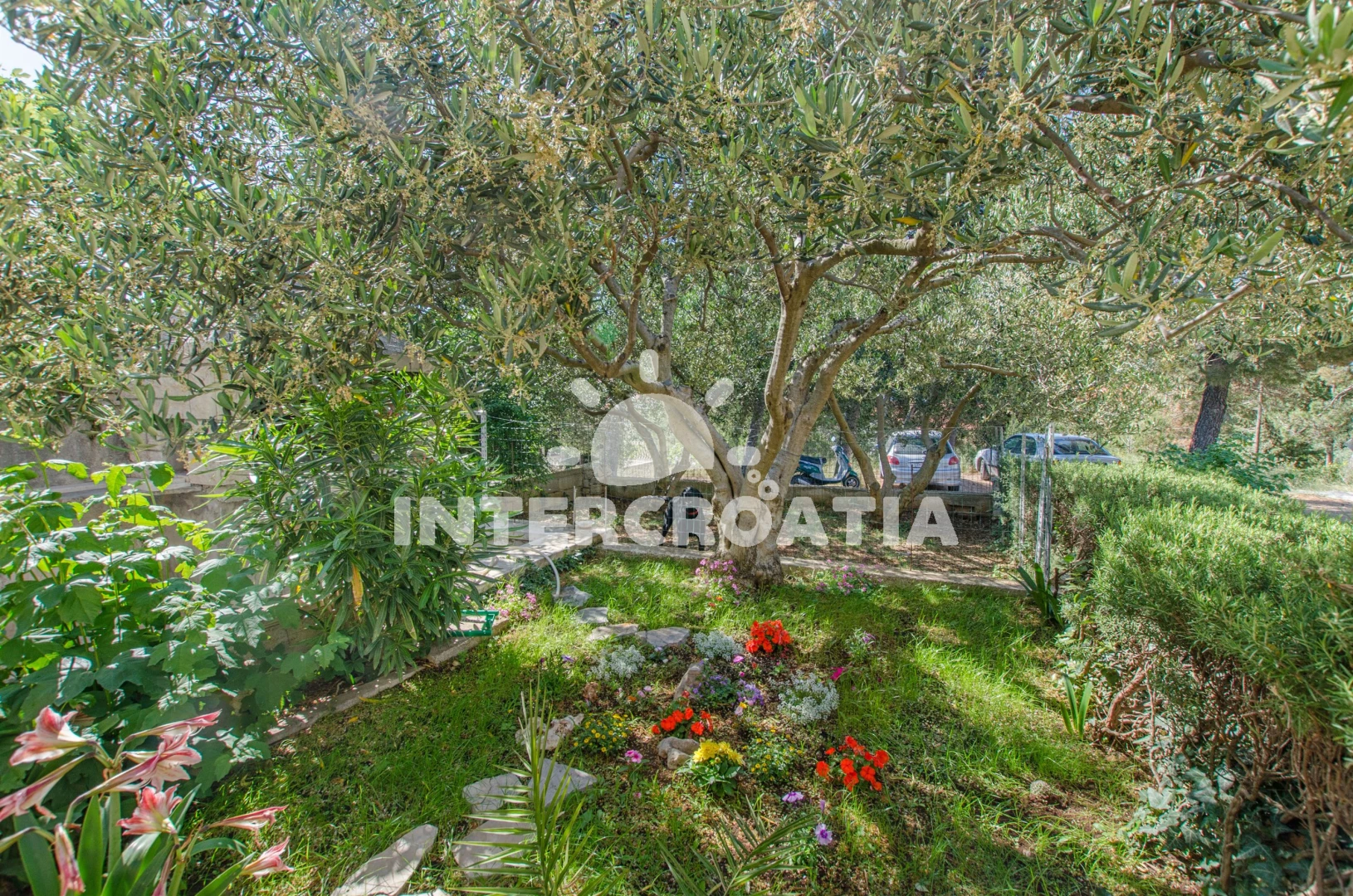 Apartmán Ostrov Brač - Bol OS 9320 N2