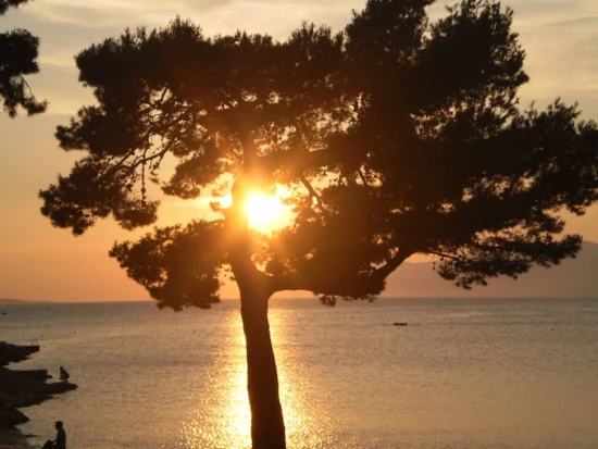Apartmán Střední Dalmácie - Makarska DA 7255 N1
