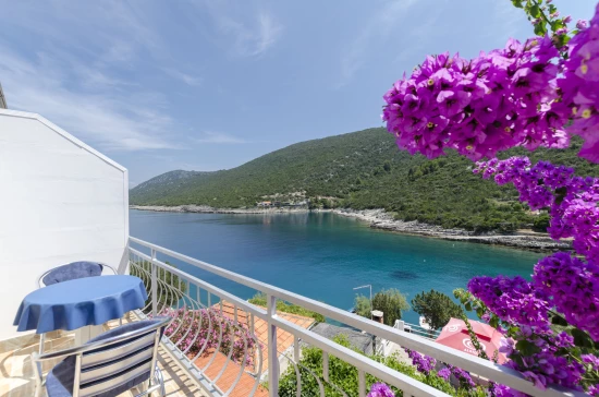 Apartmán Ostrov Hvar - Gdinj OS 9327 N2