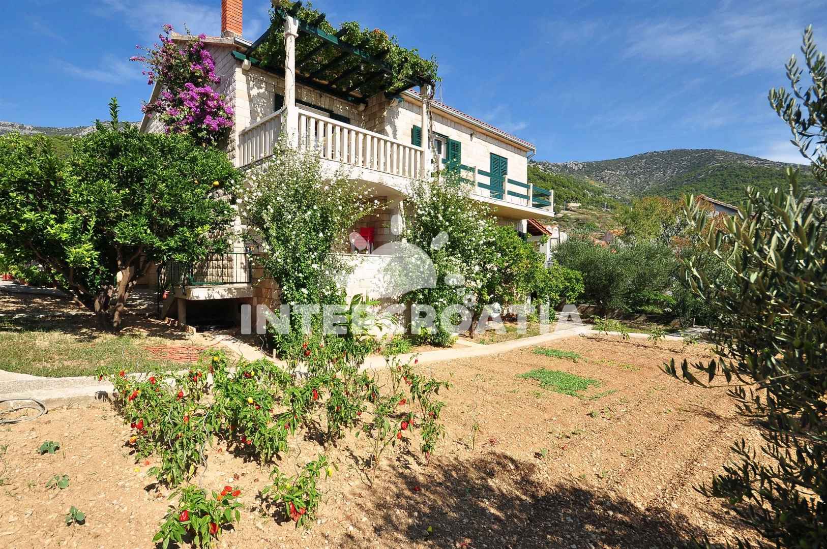 Apartmán Ostrov Brač - Bol OS 9344 N4