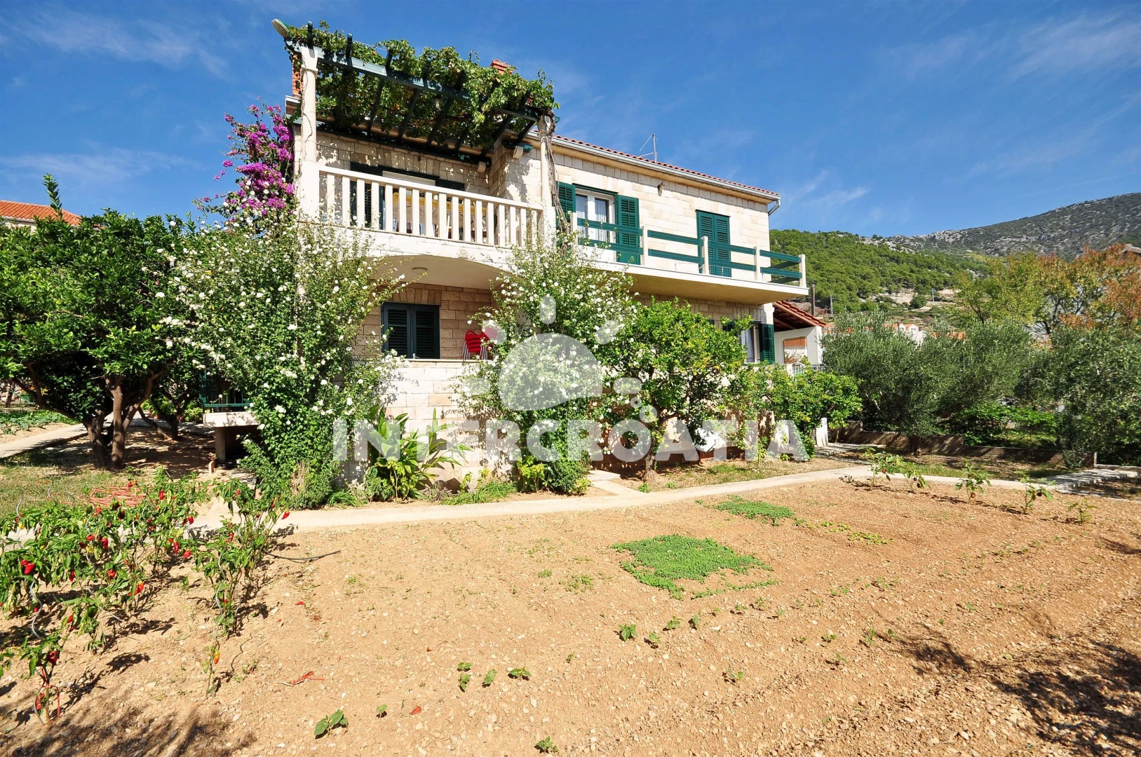 Apartmán Ostrov Brač - Bol OS 9344 N4