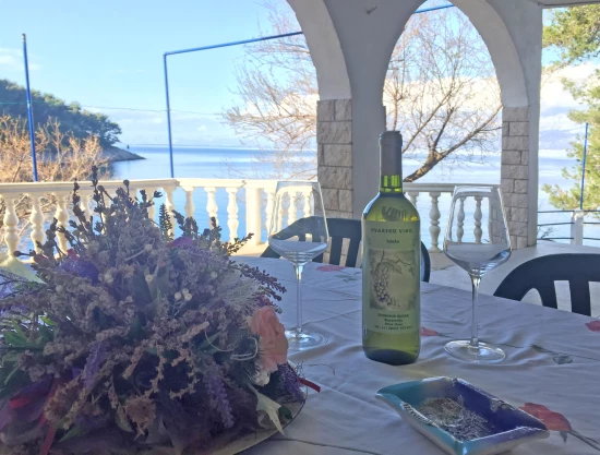 Apartmán Ostrov Hvar - Bogomolje OS 9352 N7