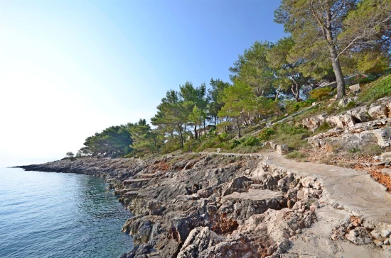 Apartmán Ostrov Hvar - Vrbanj OS 9353 N2