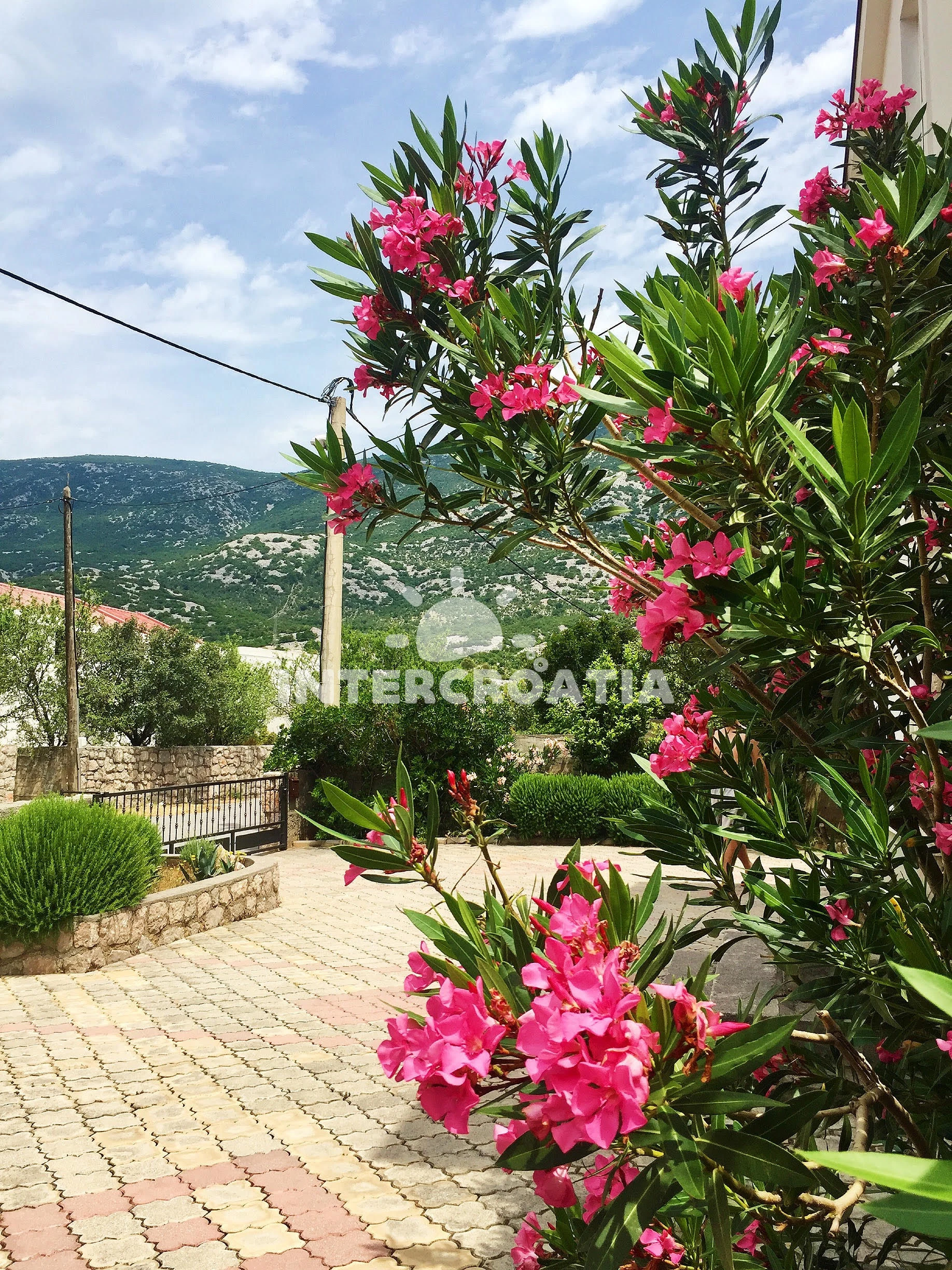 Apartmán Severní Dalmácie - Karlobag DA 7268 N2