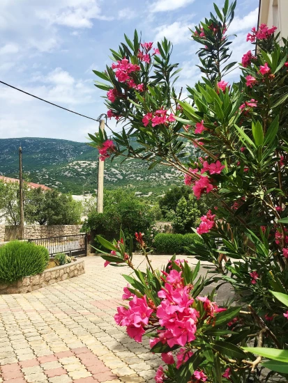 Apartmán Severní Dalmácie - Karlobag DA 7268 N2