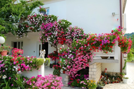 Apartmán Ostrov Rab - Palit OS 9363 N2