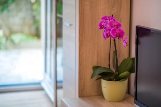 Apartmán Ostrov Krk - Krk OS 9369 N5