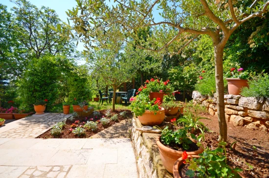 Apartmán Istrie - Ravni IS 7033 N4