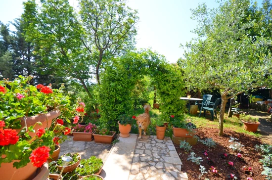 Apartmán Istrie - Ravni IS 7033 N4