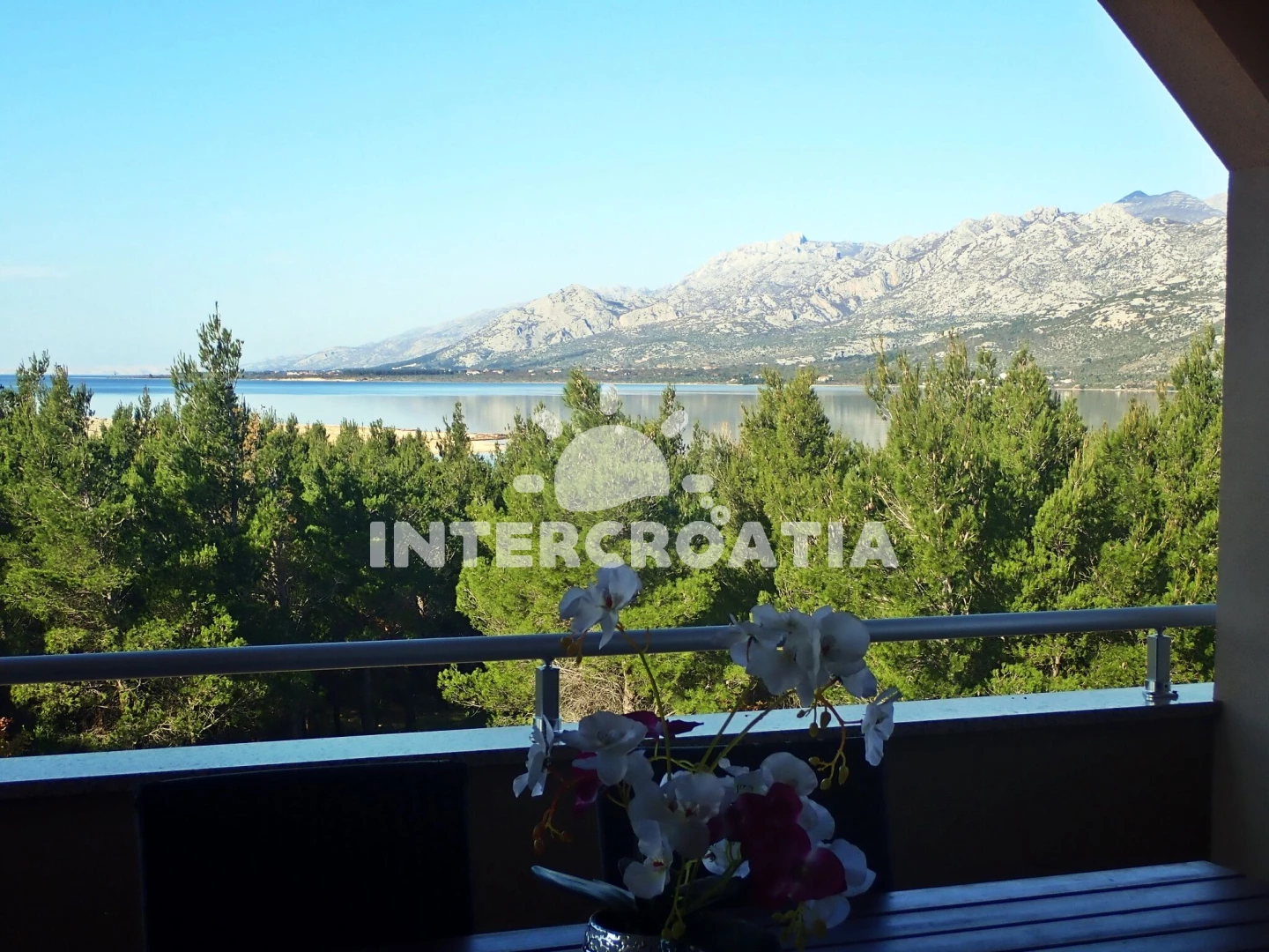 Apartmán Severní Dalmácie - Rovanjska (Seline) DA 7273 N1