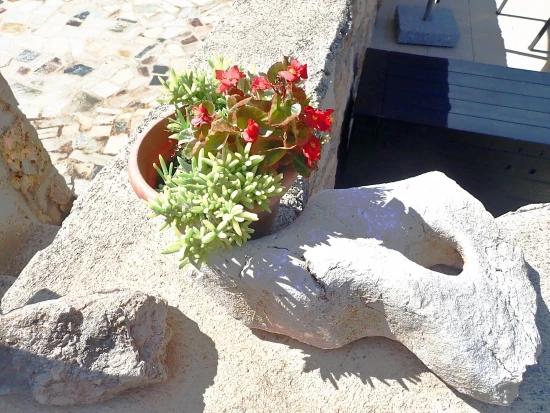 Apartmán Severní Dalmácie - Seline DA 7277 N1