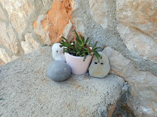 Apartmán Severní Dalmácie - Seline DA 7277 N1