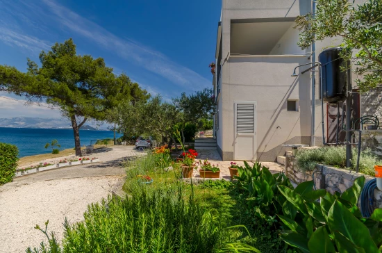 Apartmán Střední Dalmácie - Slatine (Čiovo) DA 7292 N1