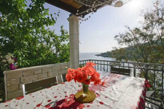 Apartmán Ostrov Šolta - Donja Krušica OS 9402 N1