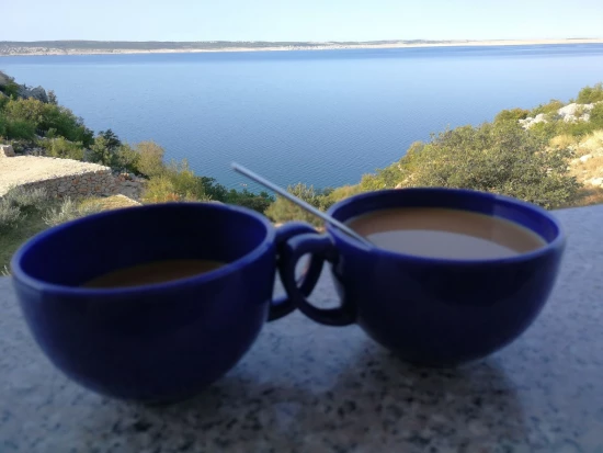 Apartmán Severní Dalmácie - Starigrad Paklenica DA 7299 N1