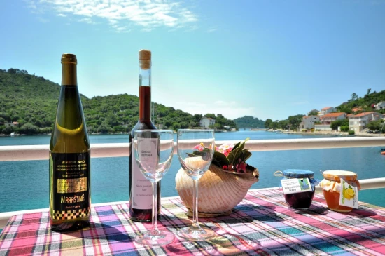 Apartmán Ostrov Lastovo - Pasadur OS 9416 N1