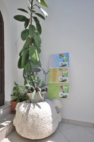 Apartmán Ostrov Lastovo - Pasadur OS 9416 N2