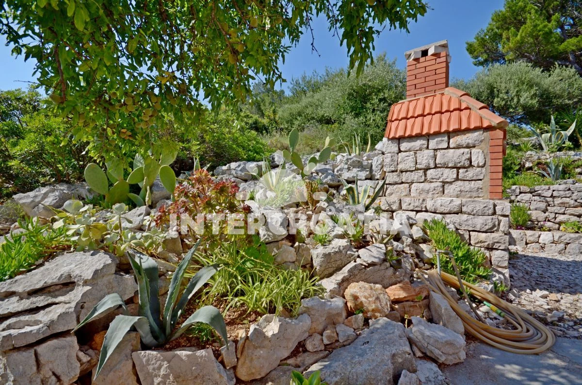 Apartmán Ostrov Lastovo - Lastovo OS 9421 N2