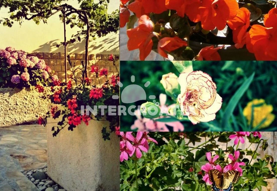 Apartmán Ostrov Kaprije - Kaprije OS 9430 N1