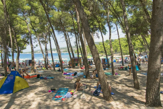 Apartmán Severní Dalmácie - Primošten DA 7312 N1