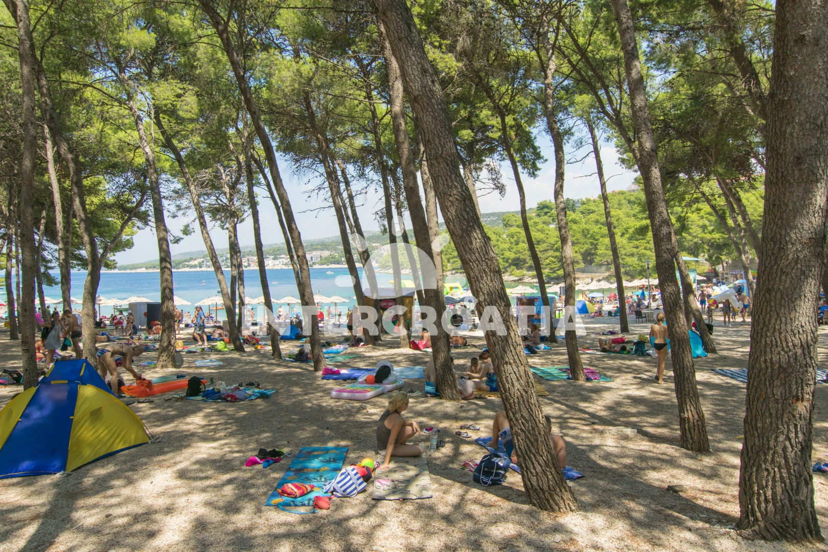 Apartmán Severní Dalmácie - Primošten DA 7323 N1