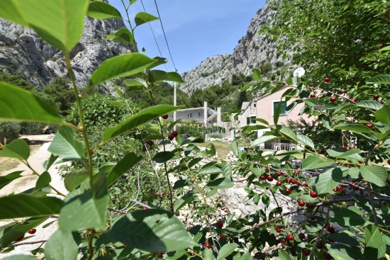 Apartmán Střední Dalmácie - Omiš DA 7326 N1