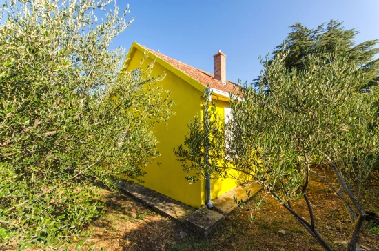 Domek Ostrov Brač - Supetar OS 9446 N1