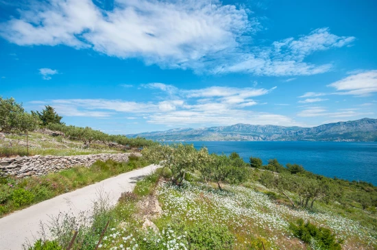 Domek Ostrov Brač - Postira OS 9451 N1