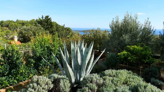 Apartmán Ostrov Vis - Rukavac OS 9453 N2