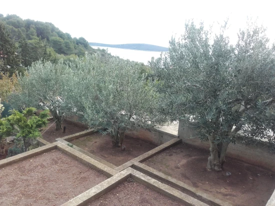 Apartmán Ostrov Vis - Rukavac OS 9453 N2