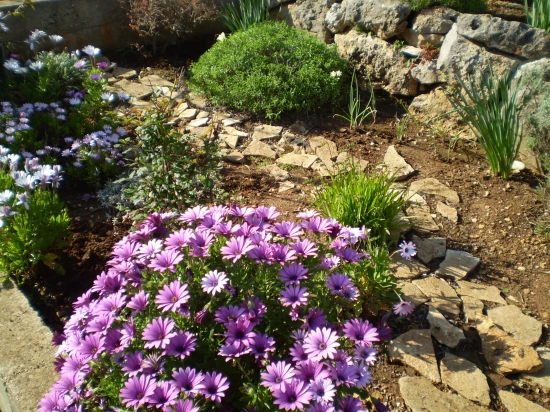 Apartmán Ostrov Vis - Rukavac OS 9453 N2