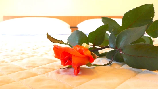 Apartmán Ostrov Vis - Rukavac OS 9453 N2