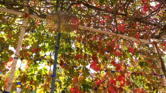 Apartmán Ostrov Vis - Rukavac OS 9453 N2