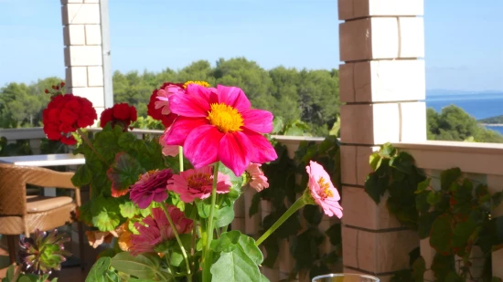 Apartmán Ostrov Vis - Rukavac OS 9453 N2