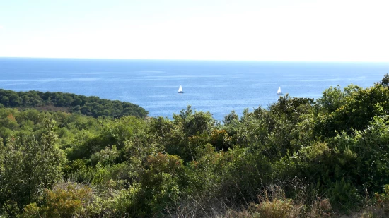 Apartmán Ostrov Vis - Rukavac OS 9453 N2