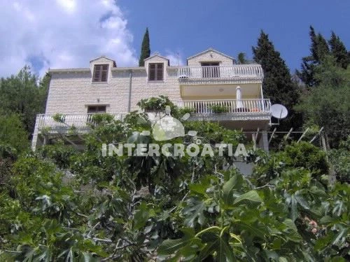 Apartmán Jižní Dalmácie - Dubrovník DA 7336 N1