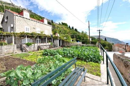 Apartmán Jižní Dalmácie - Dubrovník DA 7338 N1