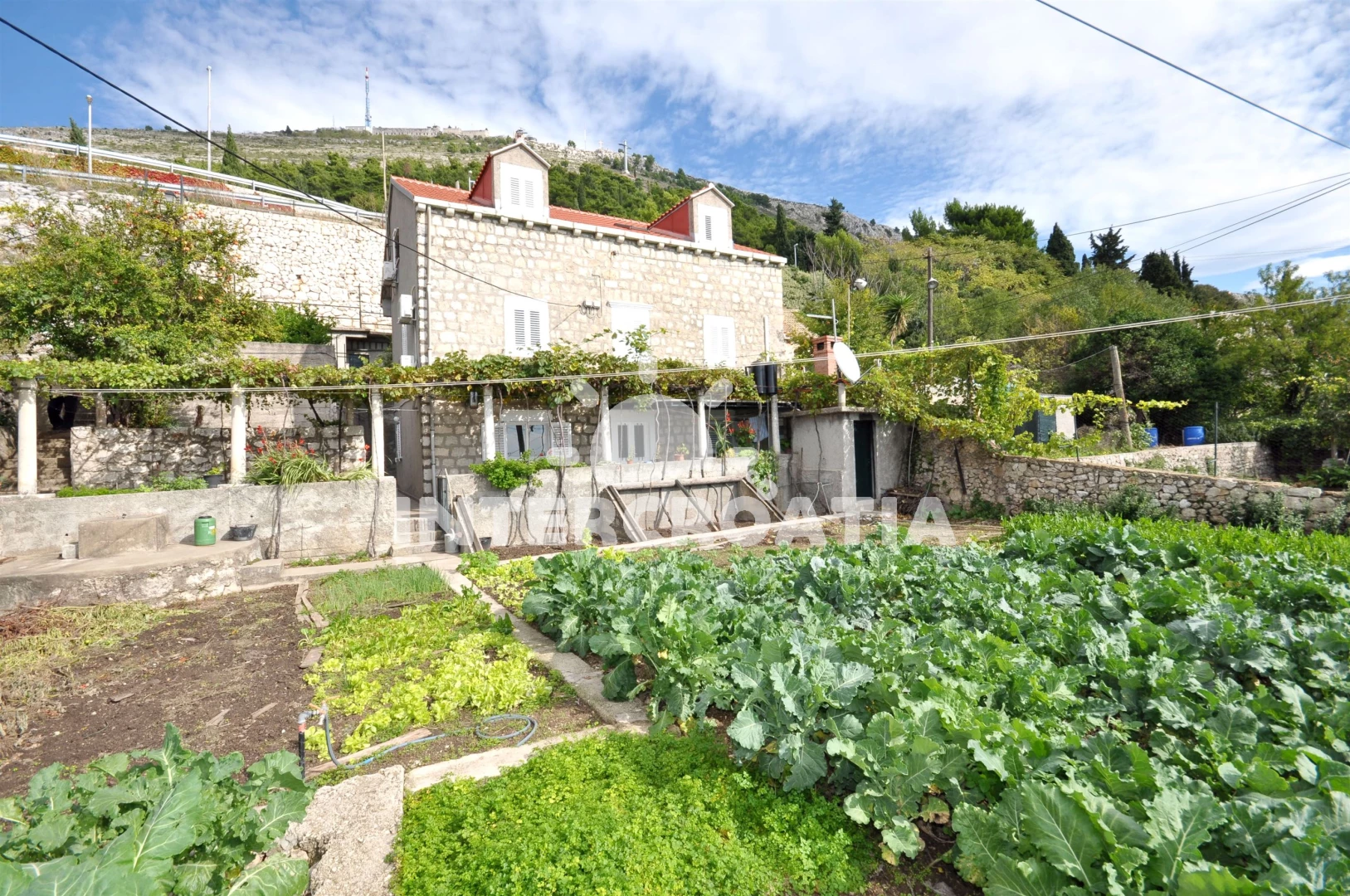 Apartmán Jižní Dalmácie - Dubrovník DA 7338 N1