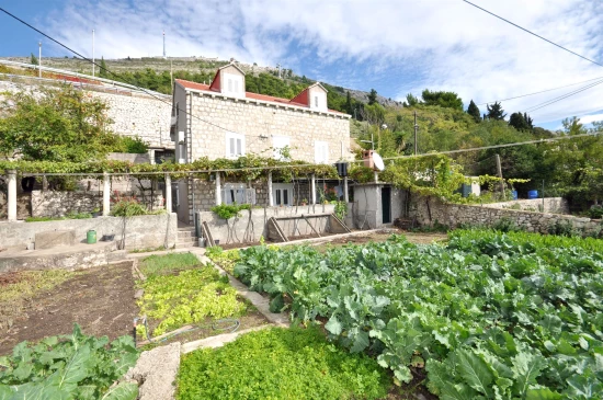 Apartmán Jižní Dalmácie - Dubrovník DA 7338 N1