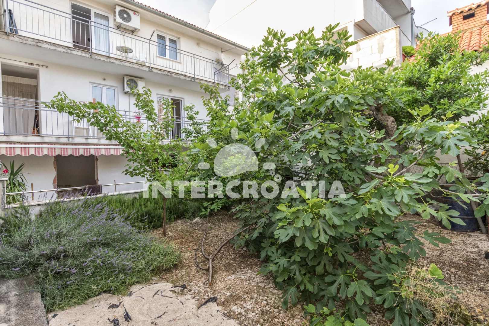 Apartmán Severní Dalmácie - Primošten DA 7342 N1