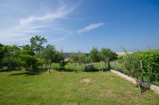 Apartmán Ostrov Rab - Lopar OS 9464 N1