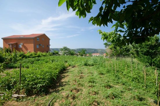 Apartmán Ostrov Rab - Lopar OS 9464 N2