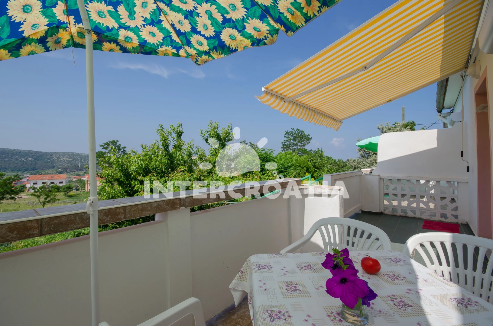 Apartmán Ostrov Rab - Lopar OS 9464 N2