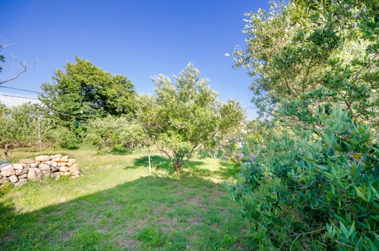 Apartmán Ostrov Rab - Lopar OS 9465 N1