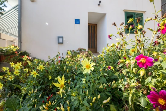 Apartmán Střední Dalmácie - Igrane DA 7345 N1