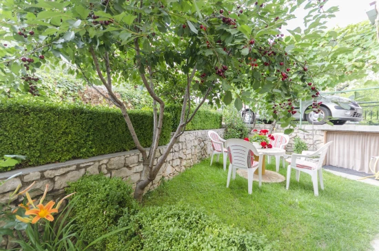 Apartmán Severní Dalmácie - Vodice DA 7351 N1